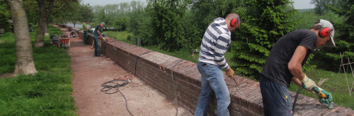 Hakwerk ten bate van de restauratie van de stadswallen te Asperen